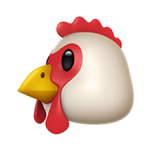 chicken image